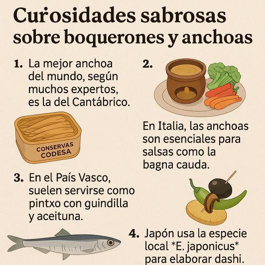 curiosidades sobre tipos de boquerones y anchoas